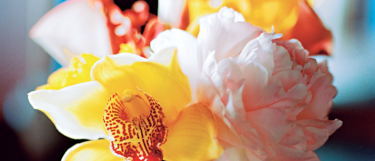 Ombord er det en blomsterhandler som pynter skipet med blomsterdekorasjoner